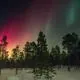 Гость Tripscan — отзыв о бронировании Трипскан